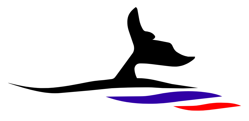 HM MOTORS
